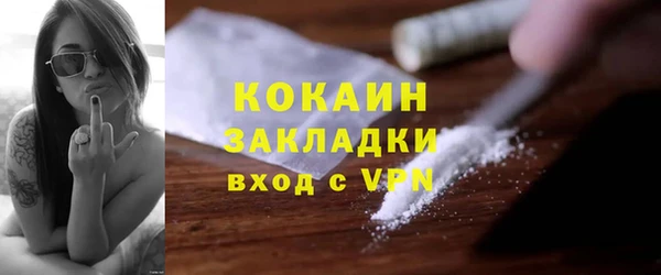 твердый Пересвет