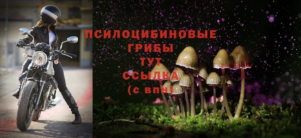 кокс Алзамай