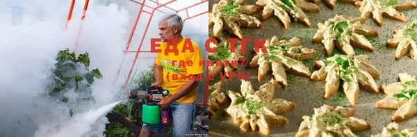 кокс Алзамай