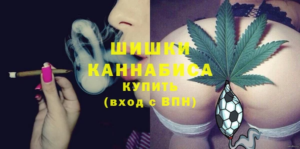 твердый Пересвет